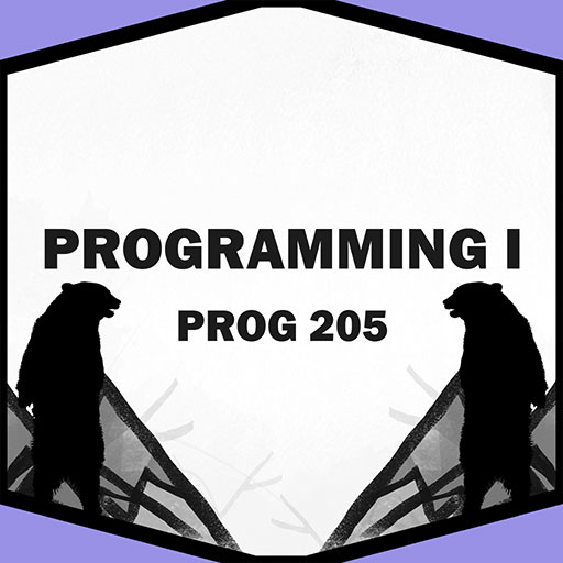 Programming I icon