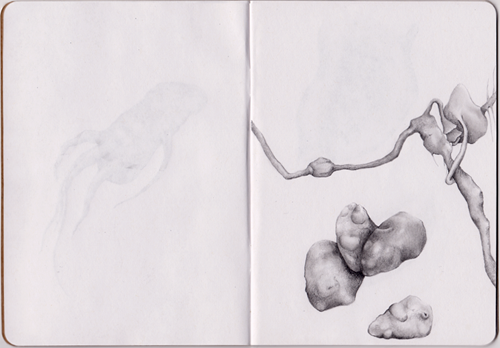 Life Underground sketchbook page